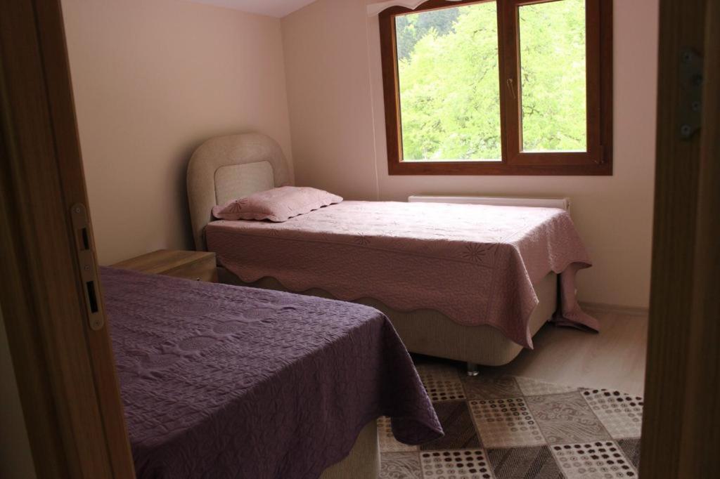Sefa Apart Uzungöl Extérieur photo